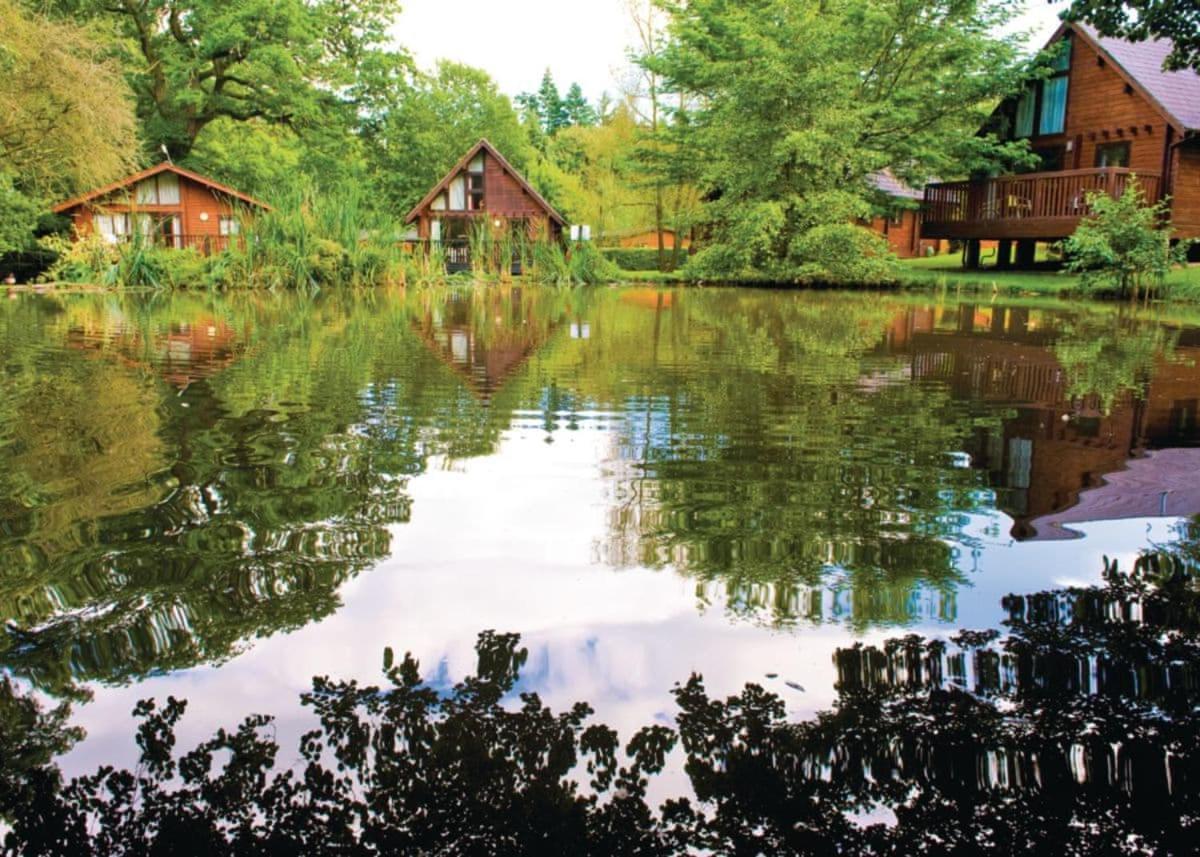 Отель Whitemead Forest Park Parkend Экстерьер фото