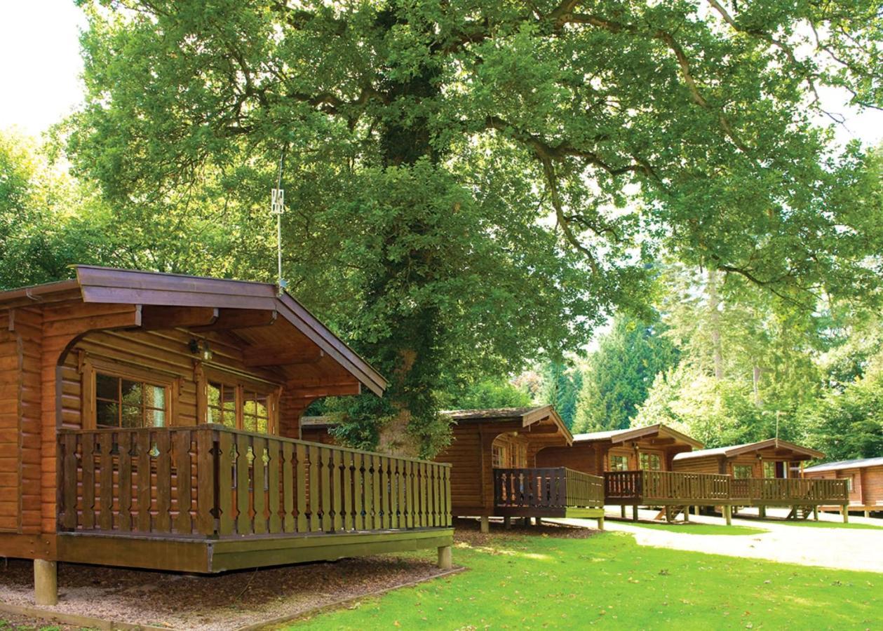 Отель Whitemead Forest Park Parkend Экстерьер фото