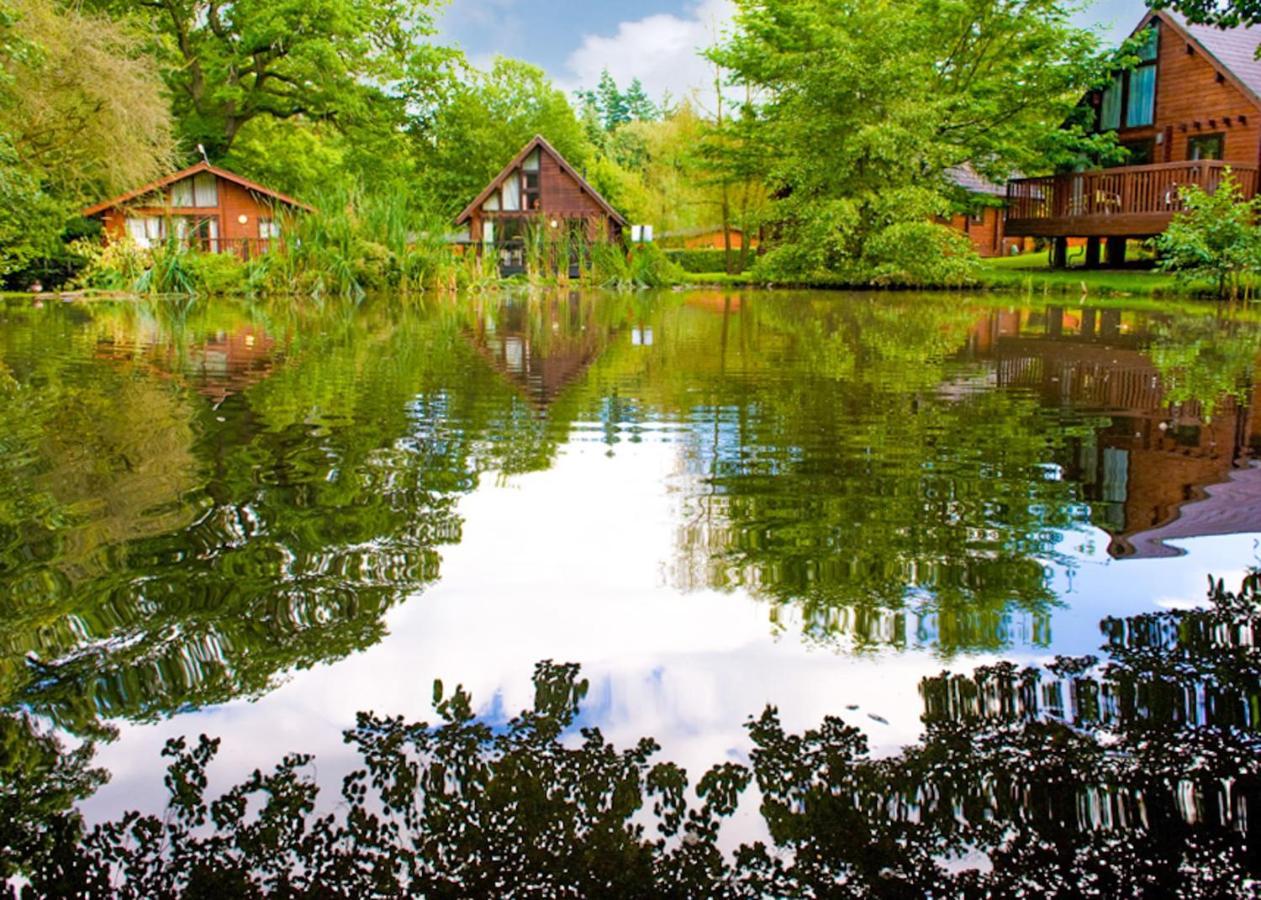 Отель Whitemead Forest Park Parkend Экстерьер фото